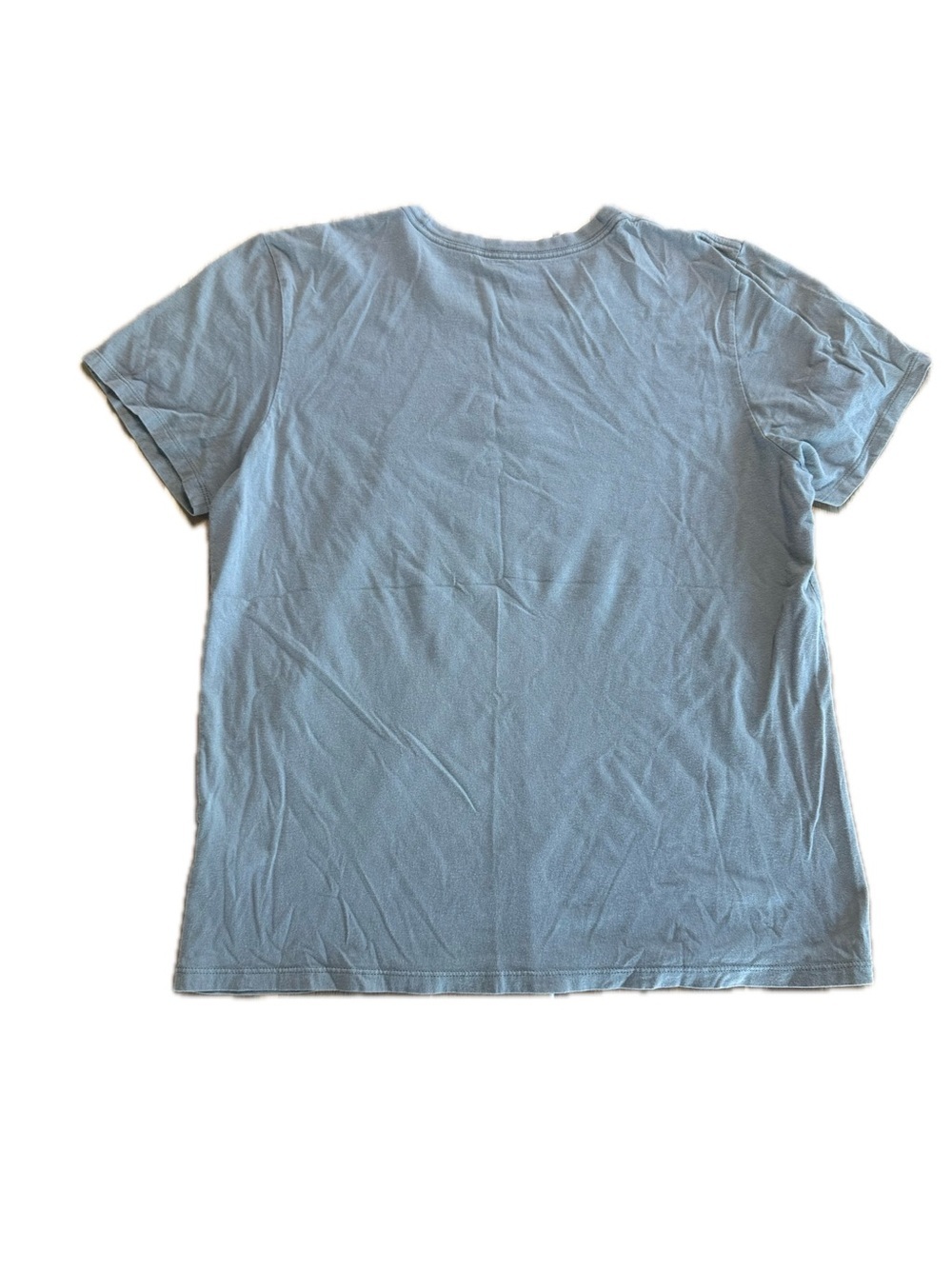 Patagonia Womens Fitz Roy Bison Graphic T-shirt Gray Size M STY39372 - Picture 2 of 3
